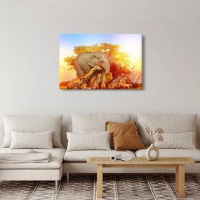 Obraz afrických zvieratiek (90x60 cm)