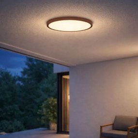 Rabalux 75083 - LED kúpeľňové stropné svietidlo LAUTREC 24W/230V, priemer 40 cm, IP44, hnedé
