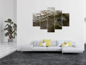 Obraz - Detailné fotografie starého slonieho oka (150x105 cm)