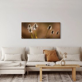 Obraz - Travina (120x50 cm)
