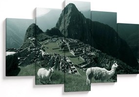Obraz - Lamy na Machu Picchu v Peru (150x105 cm)