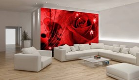 Fototapeta - Červená ruža (254x184 cm)