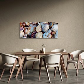 Obraz mušlí (120x50 cm)