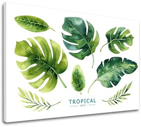 Obraz na stenu s textom Tropical set | rôzne rozmery