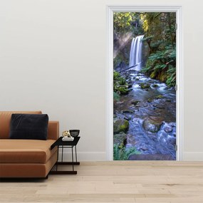Fototapeta na dvere - Austrálsky dažďový les (95x205cm)