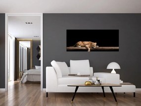 Obraz - Levice (120x50 cm)