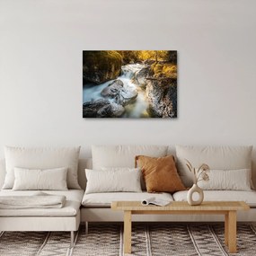 Obraz - Lesný potok (70x50 cm)