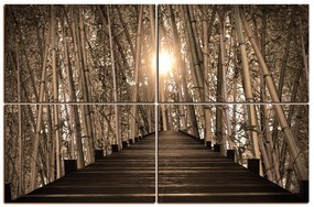 Obraz na plátne - Drevená promenáda v bambusovom lese 1172FE (150x100 cm)