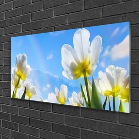 Skleneny obraz Rastliny kvety tulipány 100x50 cm