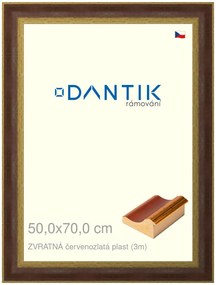 DANTIK rám na obraz 50x70 | ZVRATNÁ červenozlatá plast (Plexi Čiré)