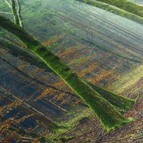 Obraz lesa (120x50 cm)