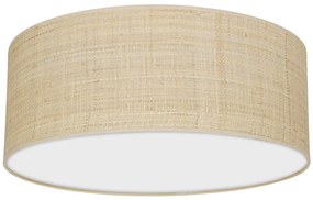 Stropné svietidlo Marshall, 1x ratanové tienidlo, (biele plexisklo), (fi 40cm)