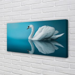 Obraz na plátne Swan vo vode 140x70 cm