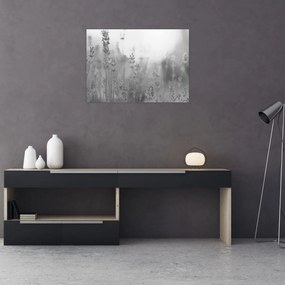 Obraz - Levanduľa (70x50 cm)