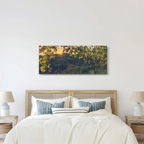 Obraz - Vinice (120x50 cm)