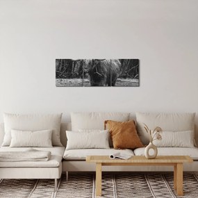 Obraz - Škótska krava (s hodinami) (90x30 cm)