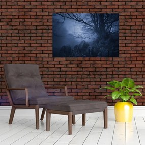 Obraz temného lesa (90x60 cm)