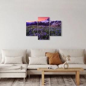 Obraz - Sopka a kvety (90x60 cm)