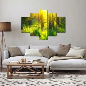 Obraz - Jarné prebúdzanie lesa (150x105 cm)