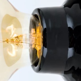 Orion - Stropné svietidlo FROST 1xE27/60W/230V čierne