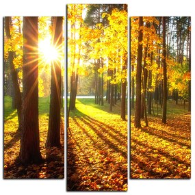 Obraz na plátne - Jesenný les - štvorec 3176C (105x105 cm)