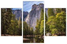 Obraz - Pod Yosemite skalou (90x60 cm)
