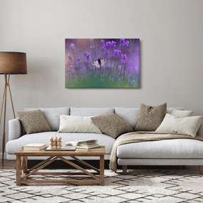 Obraz - Motýľ v levanduli (90x60 cm)