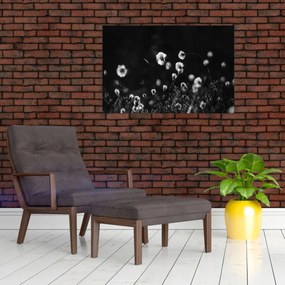 Obraz - Lúka s cottongrass N⁰1 (90x60 cm)