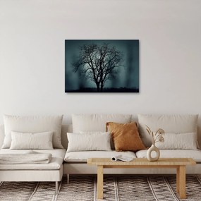 Obraz stromov pri zatmení (70x50 cm)
