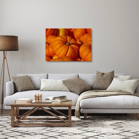 Sklenený obraz - Veľké tekvice (70x50 cm)