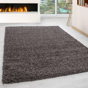 Hnedý koberec 80x150 cm Life – Ayyildiz Carpets