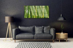 Skleneny obraz Bambusový les bambusové výhonky 125x50 cm