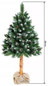 Umelý vianočný stromček borovica strieborná a šiška na pníku ECONOMIC | 220 cm