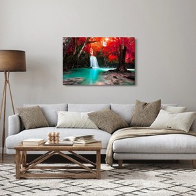 Obraz - Vodopád (90x60 cm)