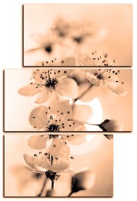 Obraz na plátne - Malé kvety na vetve - obdĺžnik 7173FD (105x70 cm)
