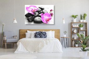 Obraz krásna súhra kameňov a orchidey Varianta: 90x60