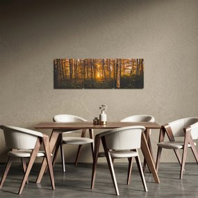 Obraz jesenného lesa (s hodinami) (90x30 cm)