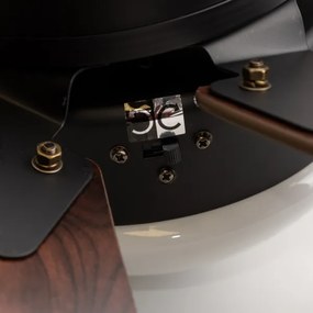 ZEVENTI - Stropný ventilátor FAMARA 1xE14/60W/230V