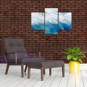 Obraz - Polárny medveď (90x60 cm)