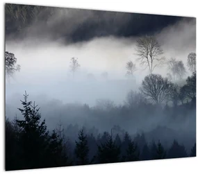Obraz hmly nad lesom (70x50 cm)