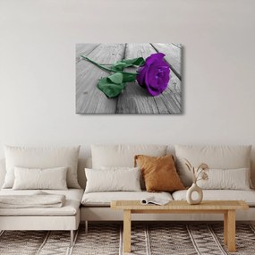 Obraz - Fialová ruža so zelenou stonkou (90x60 cm)