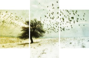 Obraz - Maľovaný kŕdeľ vtákov (90x60 cm)
