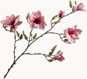 Rastlinné dekorácie Magnolia, 2 ks