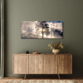 Obraz stromu v hmle (120x50 cm)