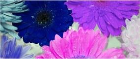 Obraz farebných kvetín (120x50 cm)
