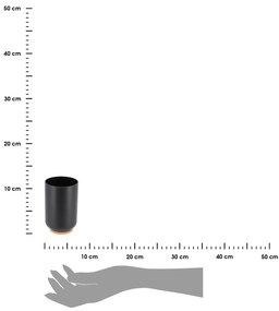 Kúpeľňový pohár Besson, čierna/s drevenými prvkami, 300 ml