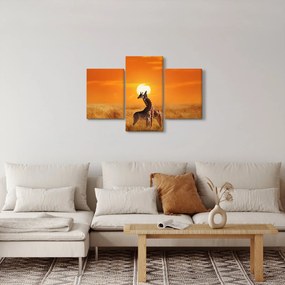 Obraz - Žirafy v národnom parku Serengeti (90x60 cm)