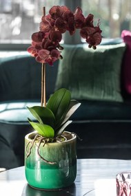 Dekorácia umelá kvetina Orchidea s kvetináčom - 23*23*50 cm