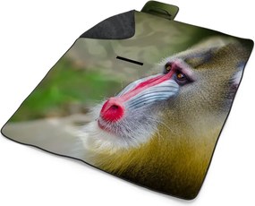 Sablio Plážová deka Mandril: 200x140 cm