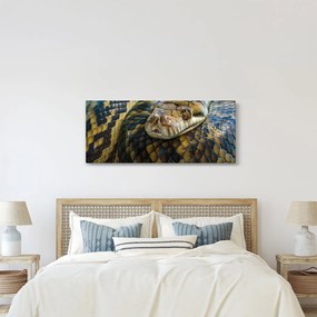 Obraz - Pytón (120x50 cm)